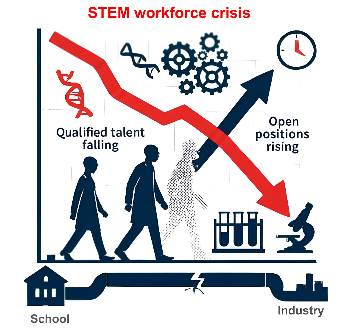 A STEM workforce in crisis